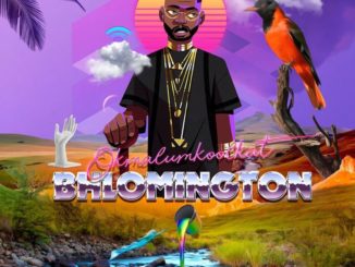 Okmalumkoolkat Bhlomington EP