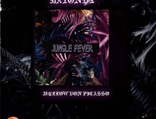 Batondy-–-Jungle-Fever-Ft.-Mellow-Don-Piccaso DOWNLOAD MP3 Batondy – Jungle Fever Ft. Mellow Don Piccaso