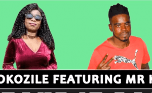 Thokozile-–-Take-It-Back-Ft.-Mr-K2-fakaza